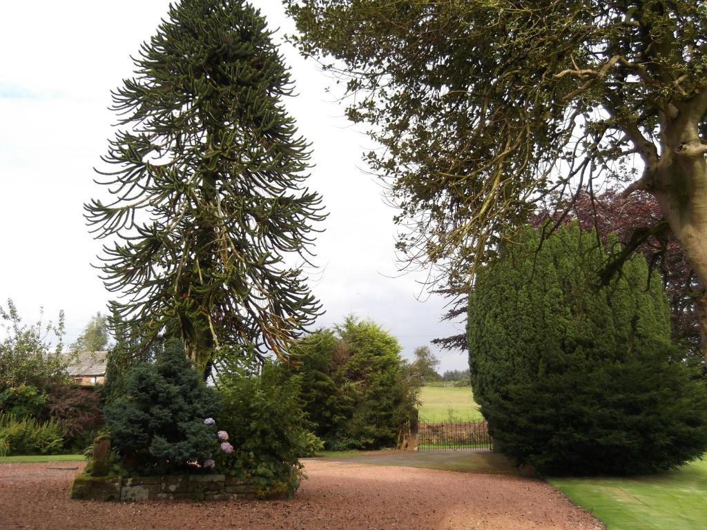 Kirkpatrick House Bed & Breakfast Gretna Green Bagian luar foto