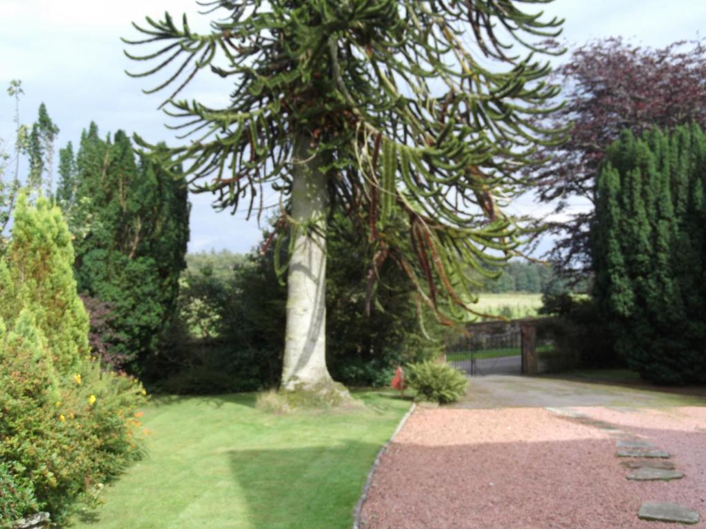 Kirkpatrick House Bed & Breakfast Gretna Green Bagian luar foto