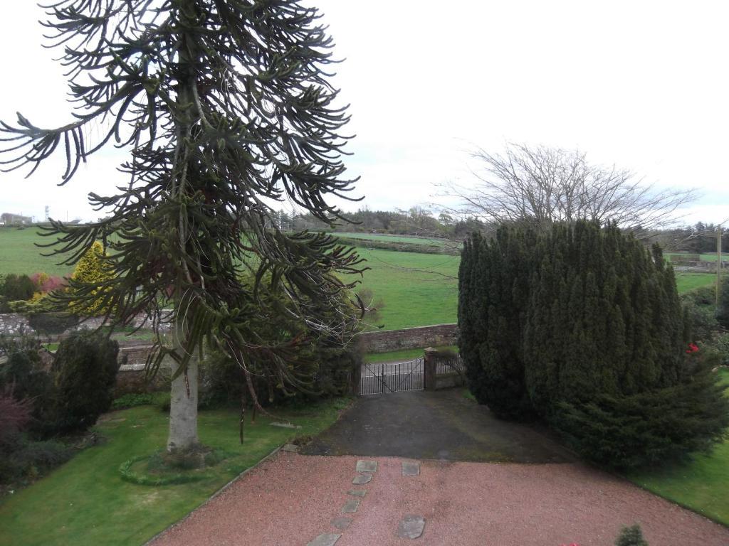 Kirkpatrick House Bed & Breakfast Gretna Green Bagian luar foto